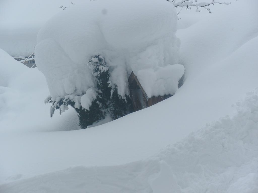 Villa Viehhofbauer à Maria Alm Extérieur photo